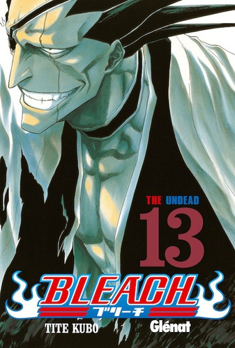 Блич Манга Том 13, Bleach Manga Tom 13