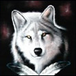 White_WolF_Of_DarK
